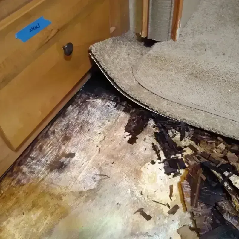 Wood Floor Water Damage in Columbus, OH